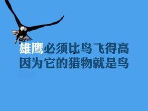 娱乐吃瓜酱励志文案图片,从吃瓜到追梦,她用行动诠释了青春的力量